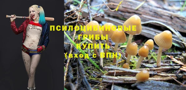 гашиш Абаза