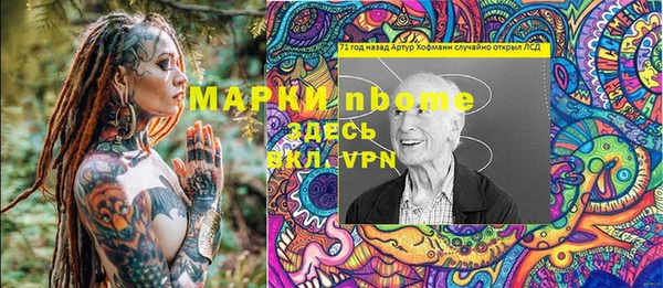 шишки Няндома