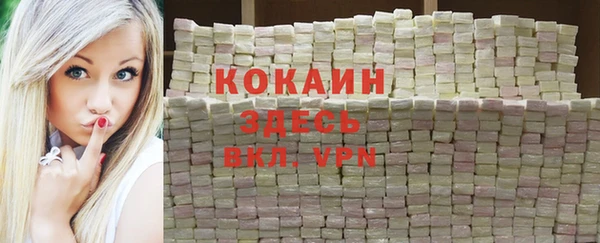 шишки Няндома