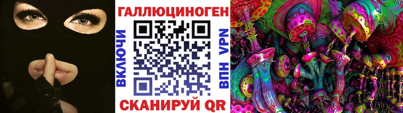 купить наркотик  Гаврилов Посад  Псилоцибиновые грибы Psilocybine cubensis 
